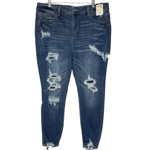 Terra & Sky High Rise Skinny 18W